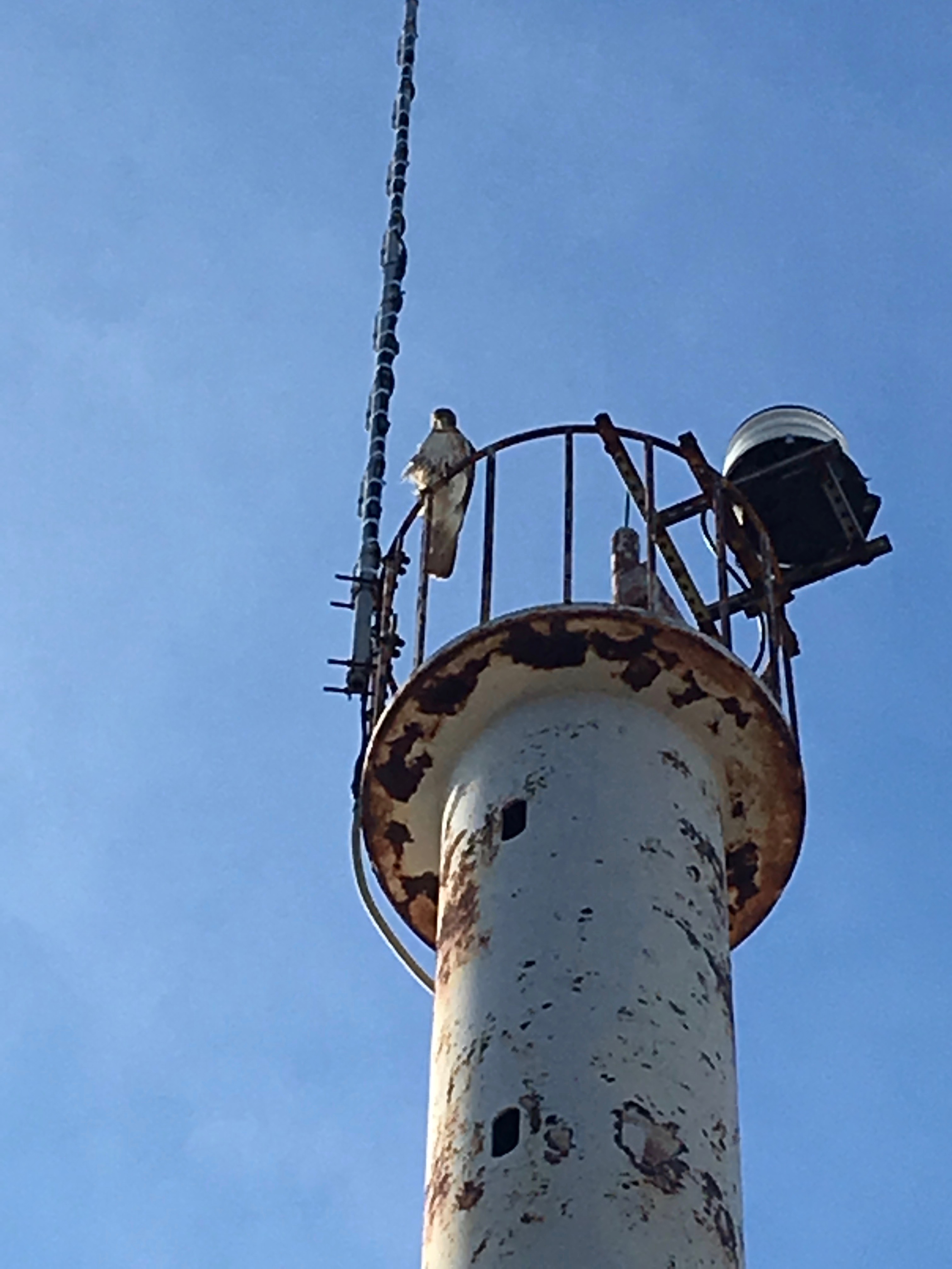 Repeater antenna on crow's nest